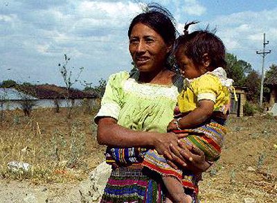 guatemalanlg.jpg (48746 bytes)